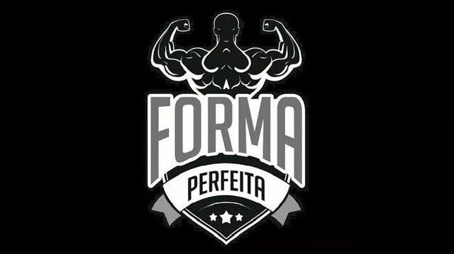 Curso Forma Perfeita   Will Detilli download baixar e bom drive