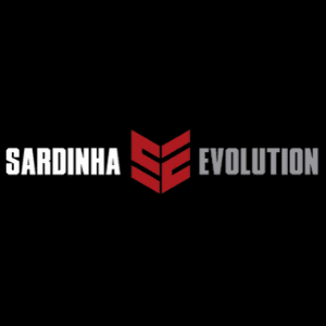 Curso Sardinha Evolution Ponto Zero  Fernando Sardinha download baixar e bom drive
