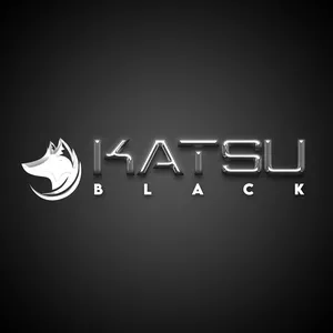 mentoria black belt katsu download atualizado completo
