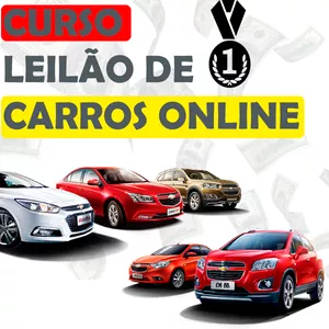 CARROS DE LEILÃO - TREINAMENTO